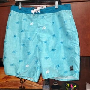 #129 Island Haze men's swim trunks size L